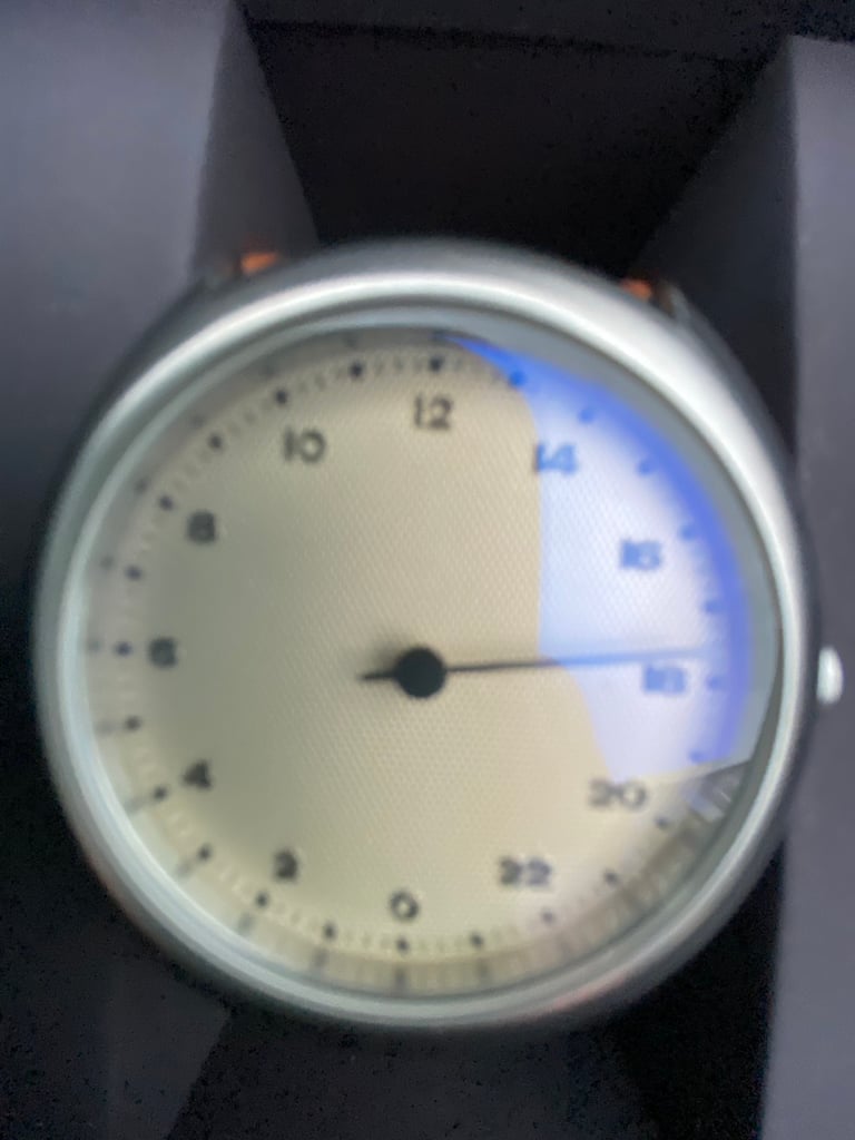 Swiss Slow Watch 