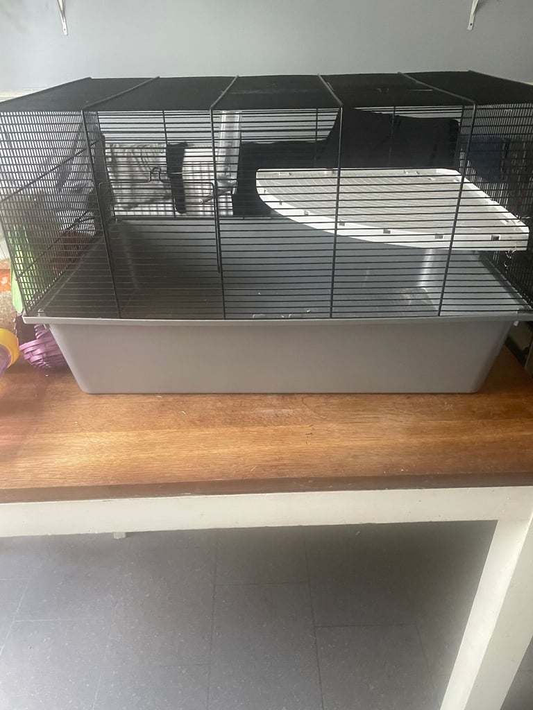 Hamster, Mouse Cage with Hay, Shavings and accessories