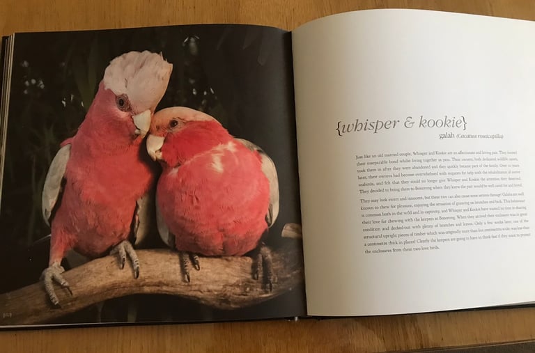 Tasmania Bonorong SancturyBook.Stunning Photos of indigenous Critters 