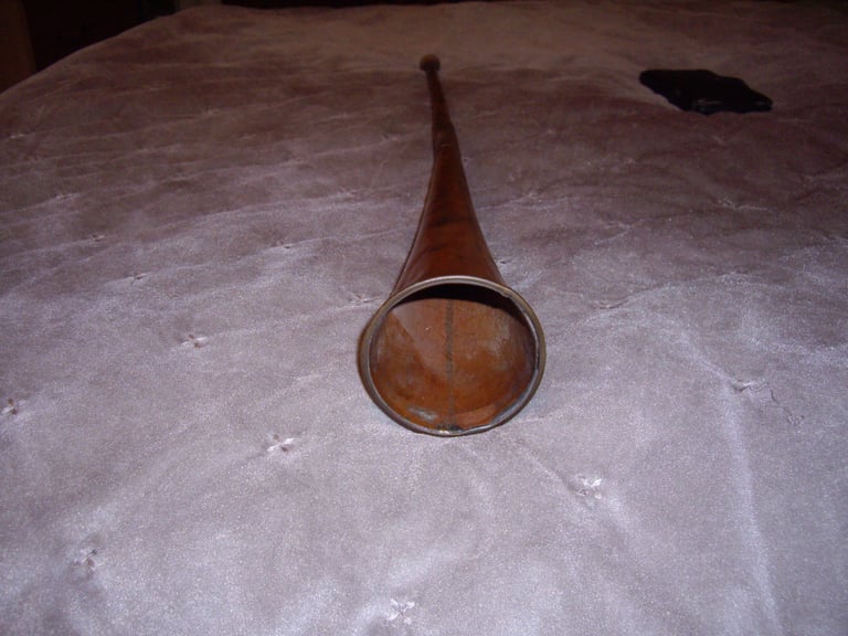 Vintage horn 
