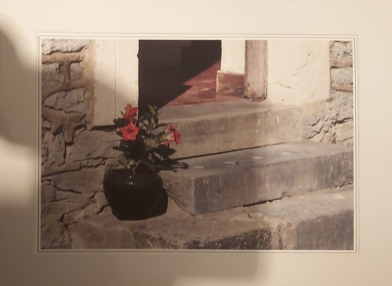 Photographic competition print collection