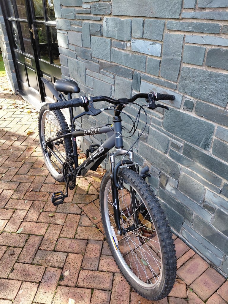 Boys 22-inch black/grey x-rated bike