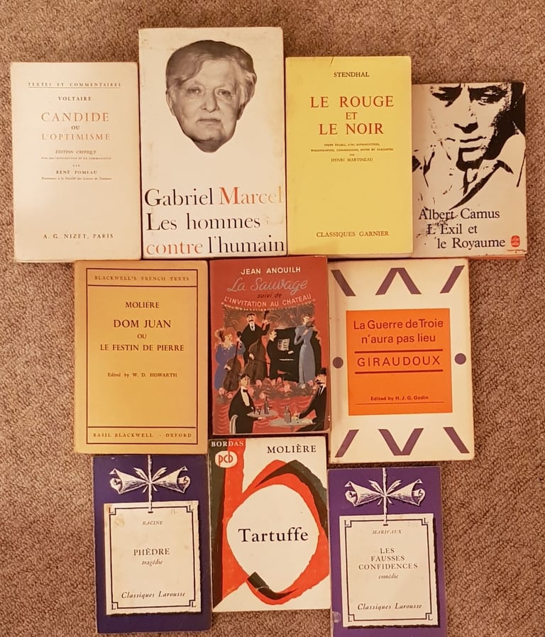 image for 10 French literature novels and plays: university course reading list