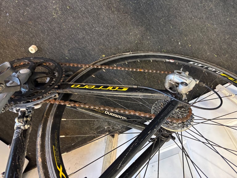 Carrera TDF road bike