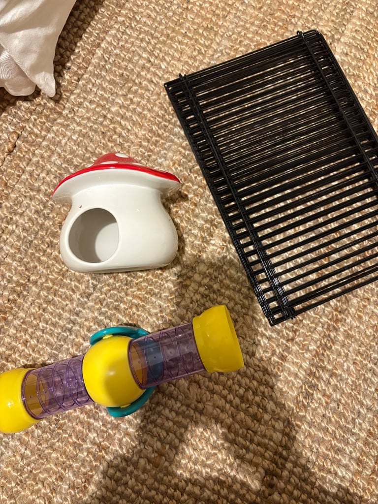 Hamster toys - Niteangel and Pets at Home 