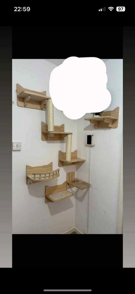 Cat accessories and cat carrier 