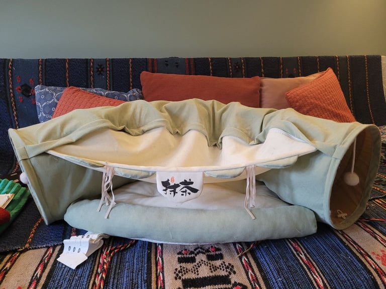 image for Matcha cat tunnel