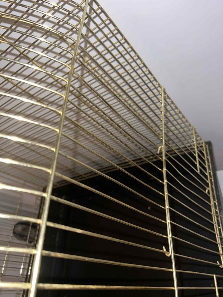 Gold bird cage 