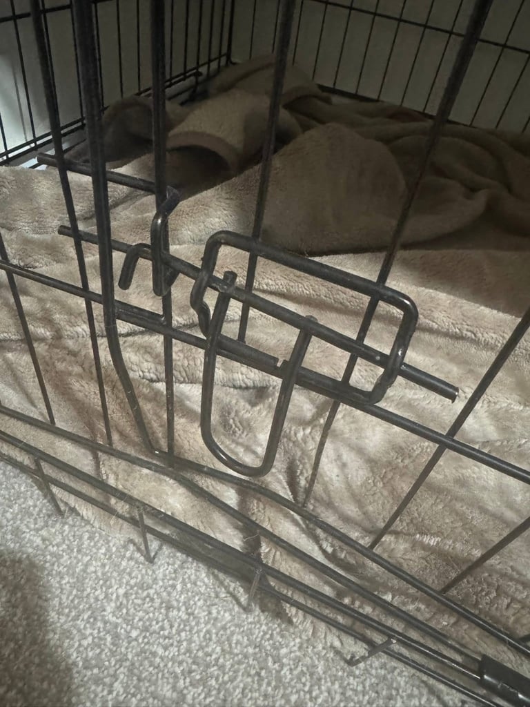 Large dog crate 