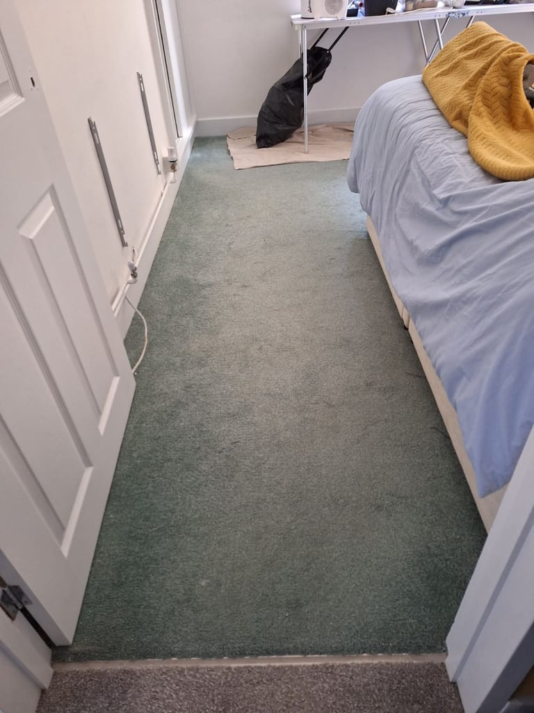 Free Carpet