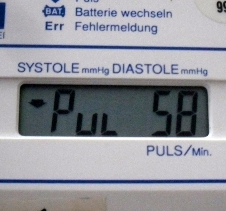 Digital Electronic Blood Pressure Monitor DS-111