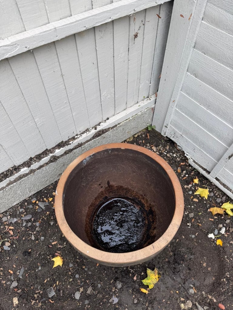 Large terracotta pot