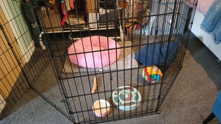 Dog/puppy playpen