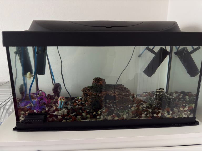 Tetra fish aquarium tank and accessories 