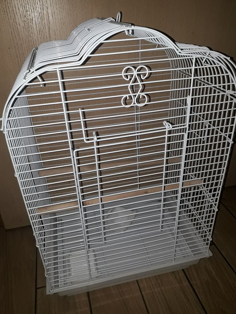 Budgie Cage
