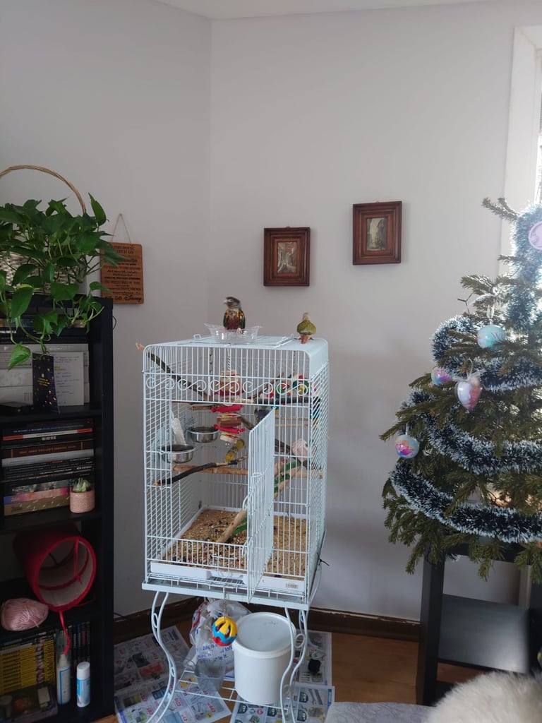Parrot cage
