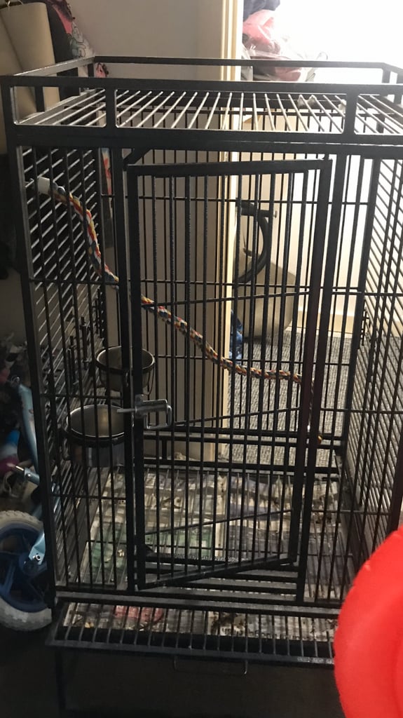 Large bird cage 