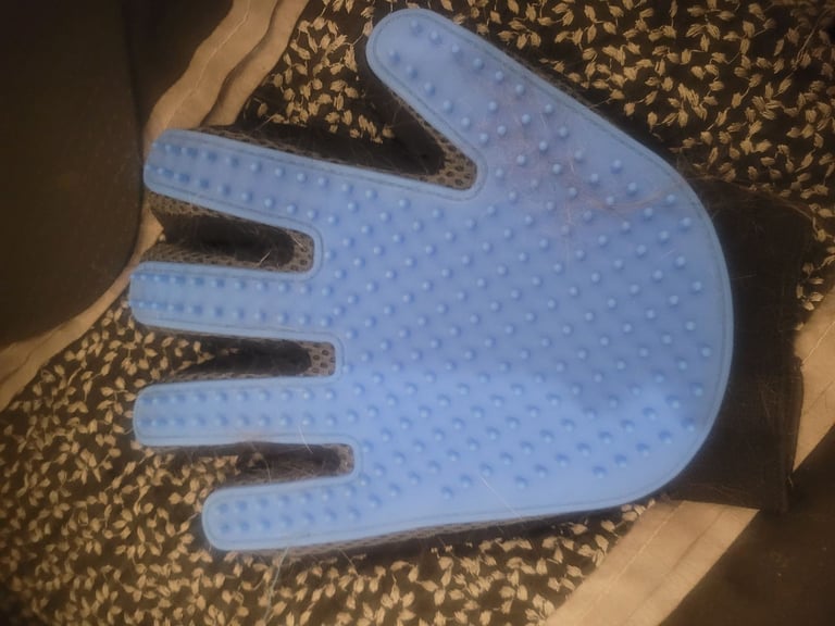 🐾 Complete Cat/Kitten Starter Bundle – Everything You Need! 🐾