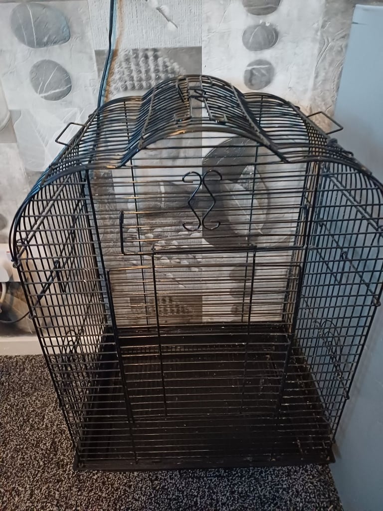 Pet Supplies Dog Cage For Sale Kijiji Cage Sugar Glider Kijiji Rat