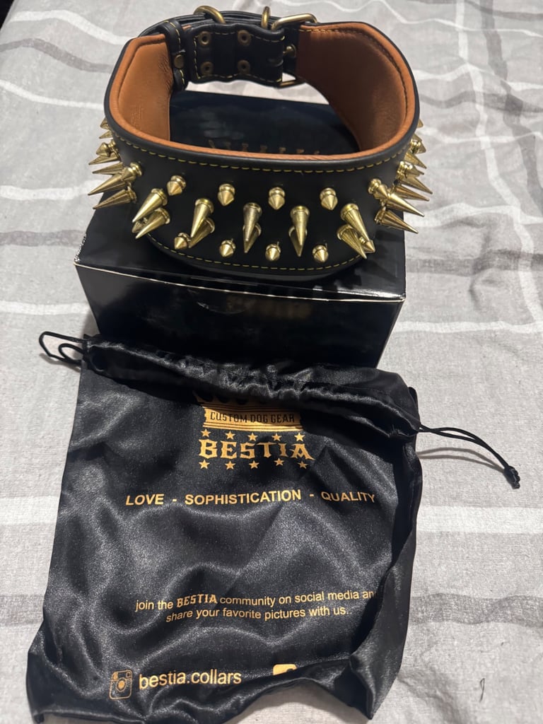Bestia dog collar 
