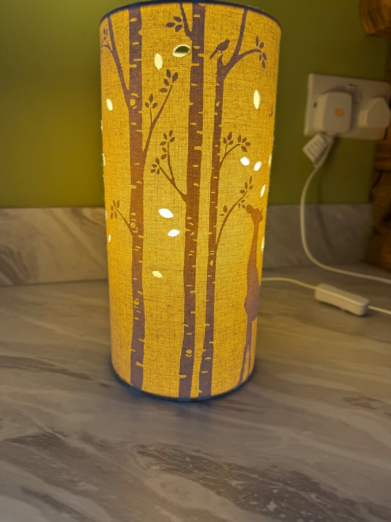 Giraffe light 