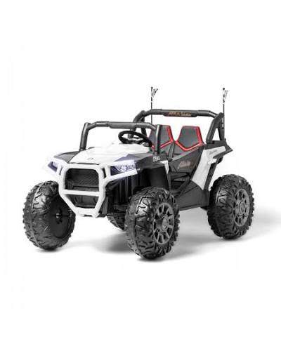 WANTED ( 1 or 2 ) 24V POLICE ELECTRIC RIDE ON CARS