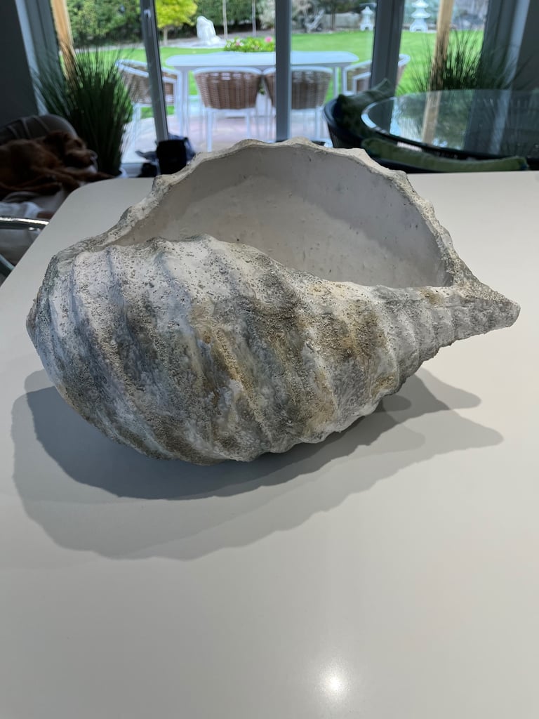 Orimental Pot Shell