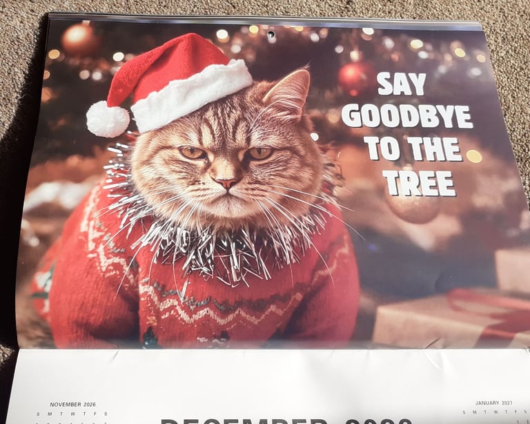 Humorous cat calendar for 2026 - nice large by Month size