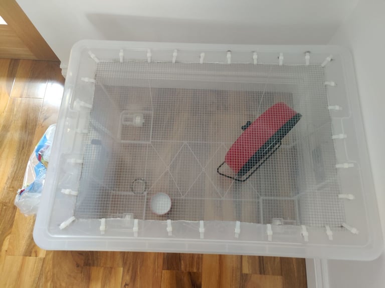 FREE Hamster cage & wheel