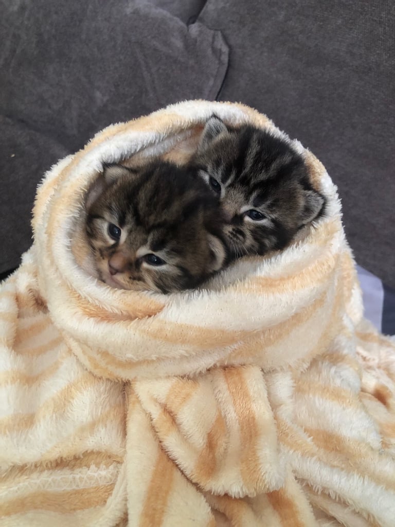 Ready to leave now !!!!!