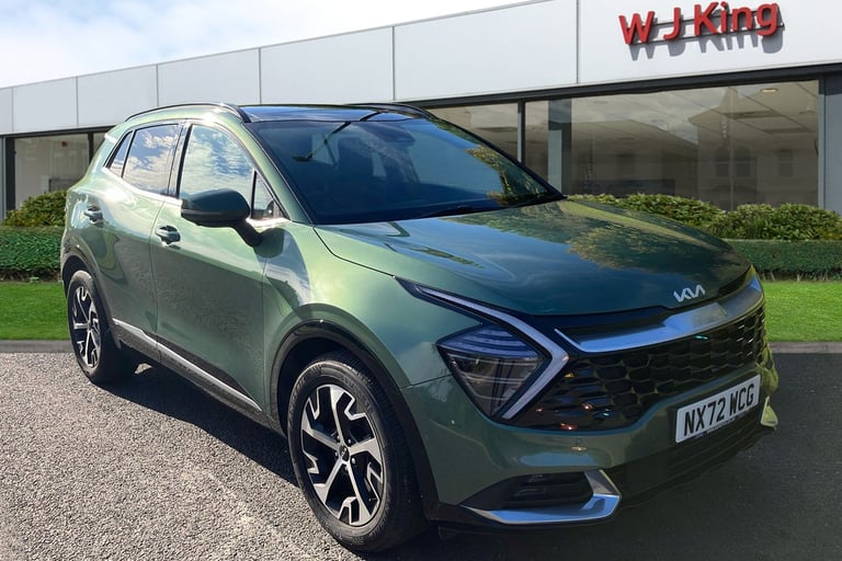  Kia Sportage 1.6 H T Gdi 4 Suv 5dr Petrol Hybrid Auto Euro 6 s/s 226 Bhp