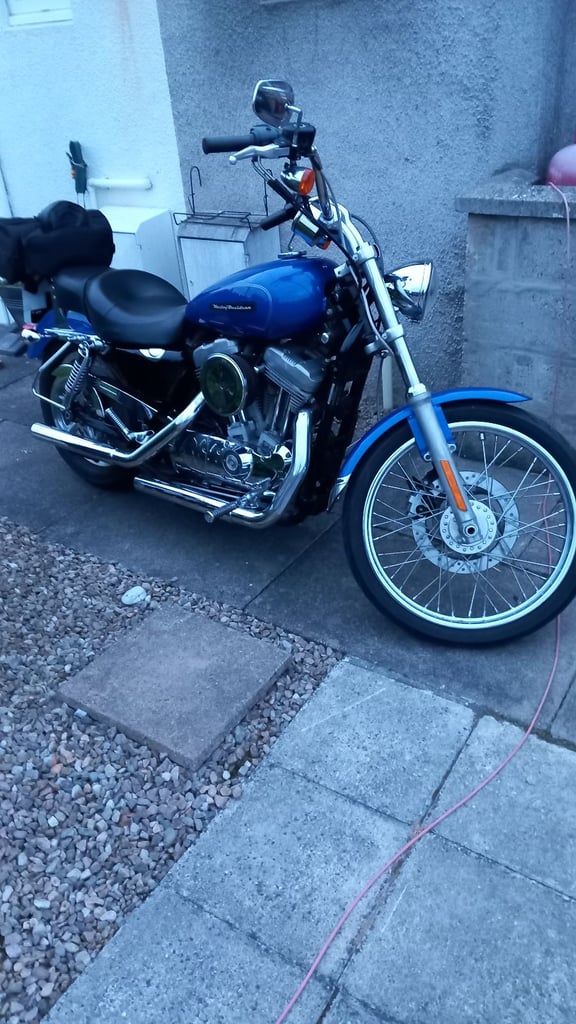 Harley-Davidson, SPORTSTER CUSTOM, 2008, 883 (cc)