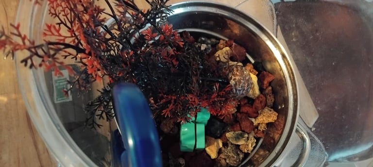Biord Aquariam  / Fish Tank + Accessories. 