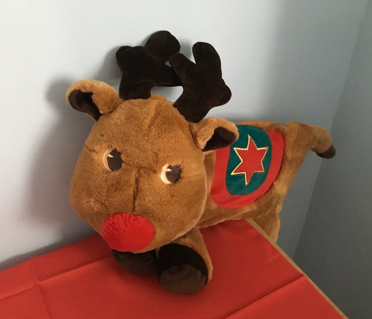 Rudolf the Red-Nosed Reindeer night wear case