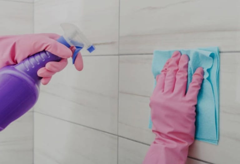 Professional Domestic and Commercial Cleaning Services 