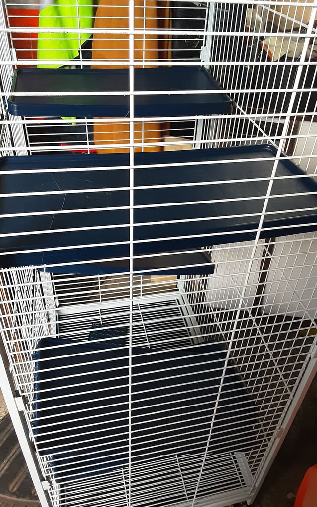 For sale a used cage 