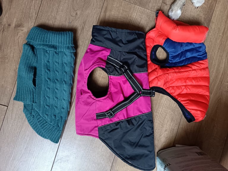 Puppy carrier and coats