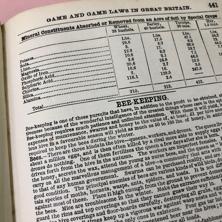 1894 antique leather READY REFERENCE Universal Cyclopaedia •W.R. Balch