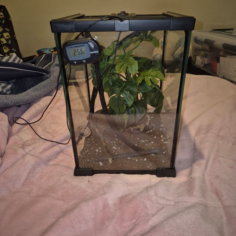 image for HabiStat Glass Reptile Terrarium Tank