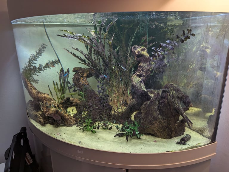 Juwel corner tank 