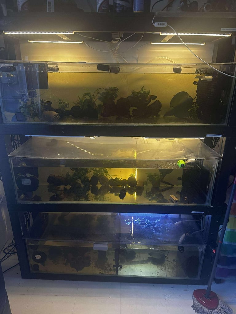 Free Fish Tank Rack Only