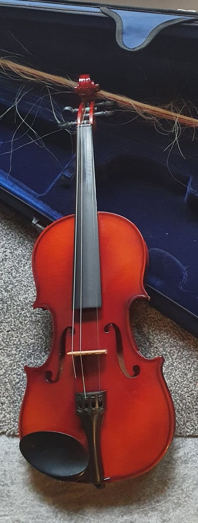 image for Purple turtle 4/4 violin 