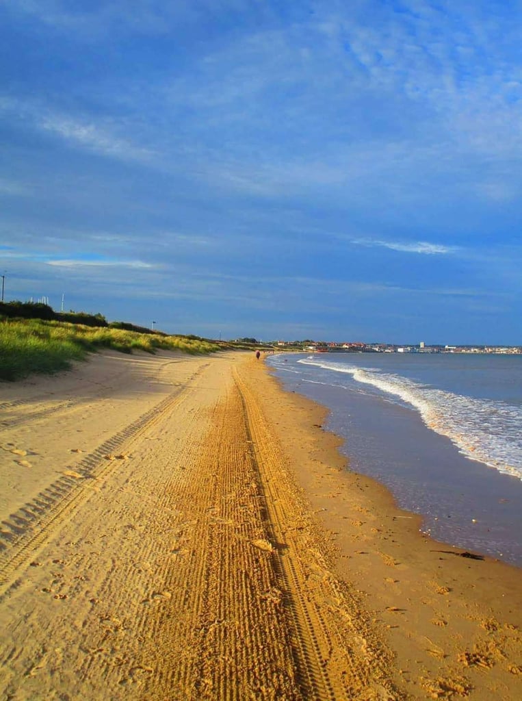 Pet friendly budget holidays on the east yorkshire coast. Bridlington and Flamborough 