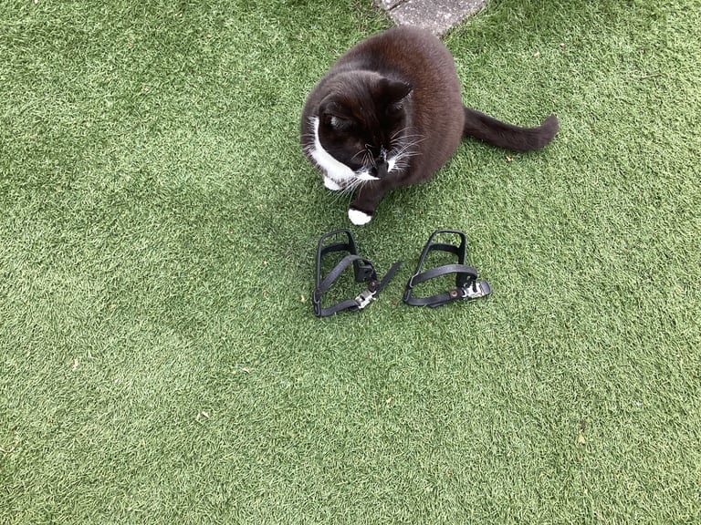 image for BIKE PEDAL TOE CLIPS  FREE