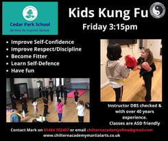 Kids Kung Fu Classes at Cedar Park School