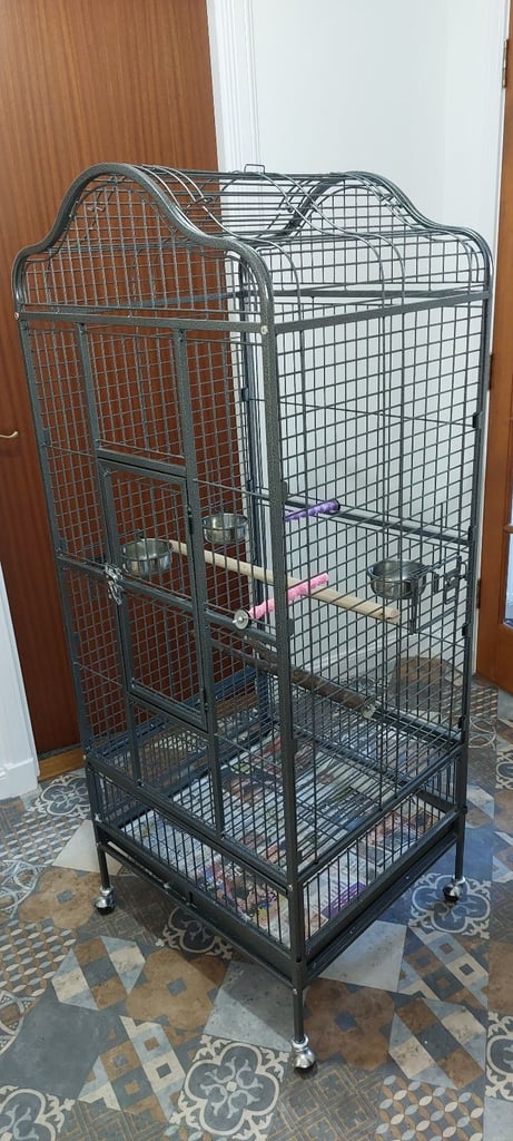 Parrot Cage