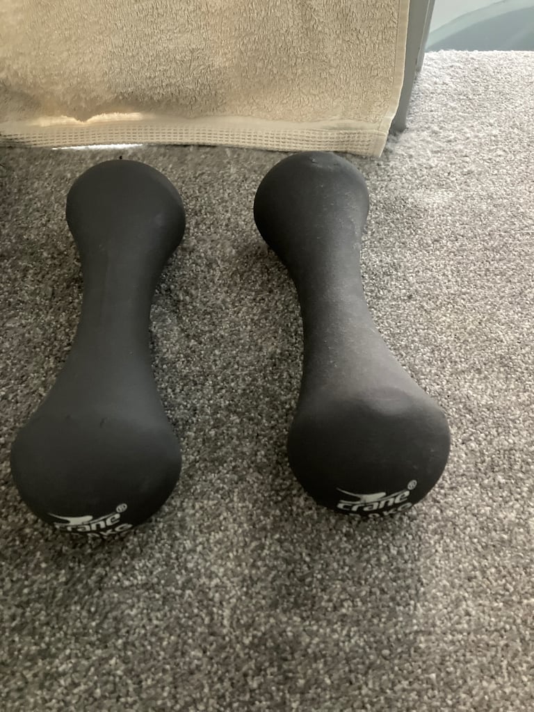 Fitness weights