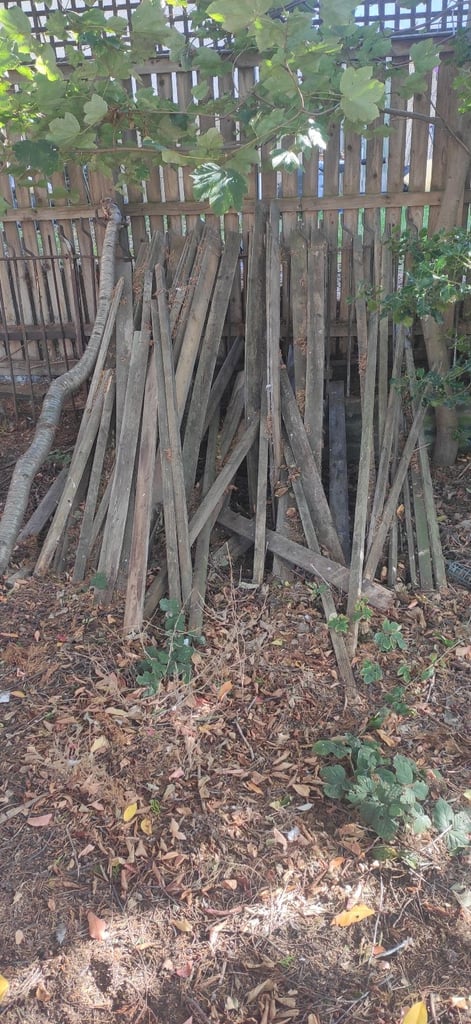 Free wood to collect 