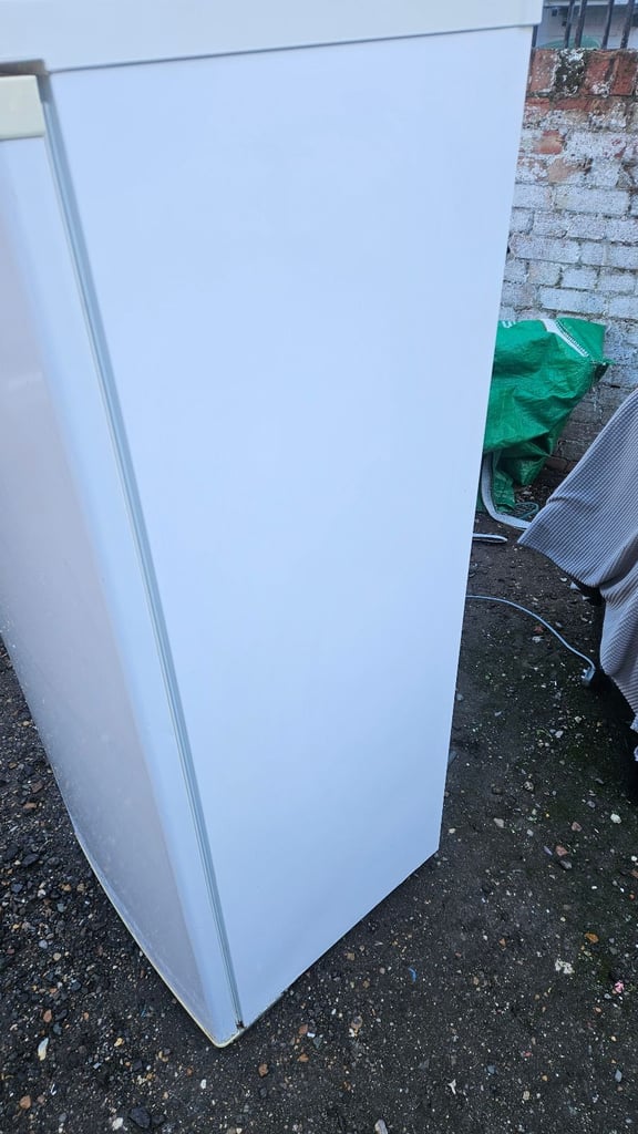 Tall fridge / free delivery 