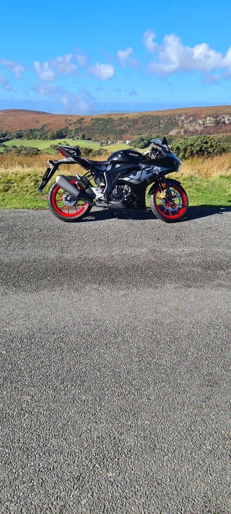 Suzuki, GSX-R, 2023, 124 (cc)